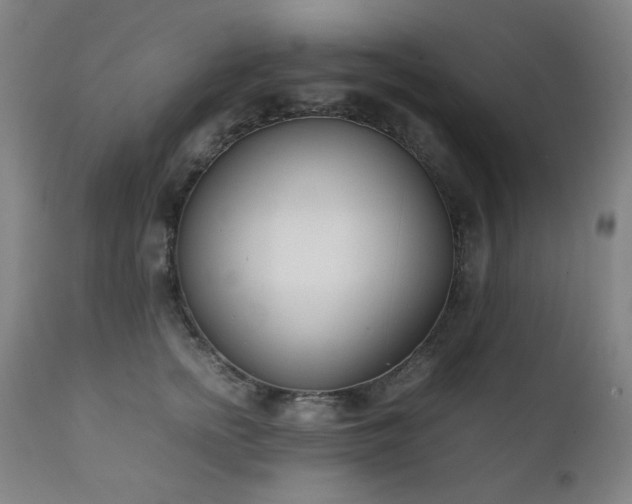 X0000111920758200907271249