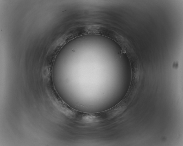 X0000111920759200907271249