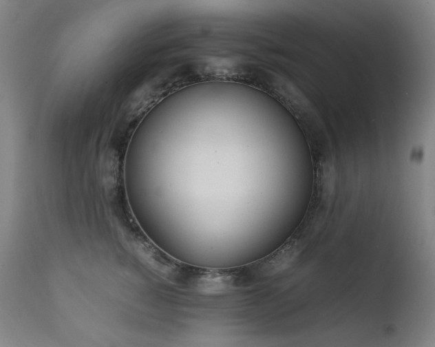 X0000111920760200907271249