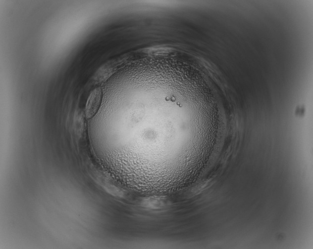 X0000111920761200907271249