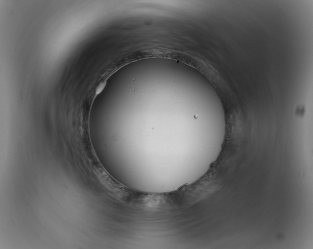 X0000111920762200907271249