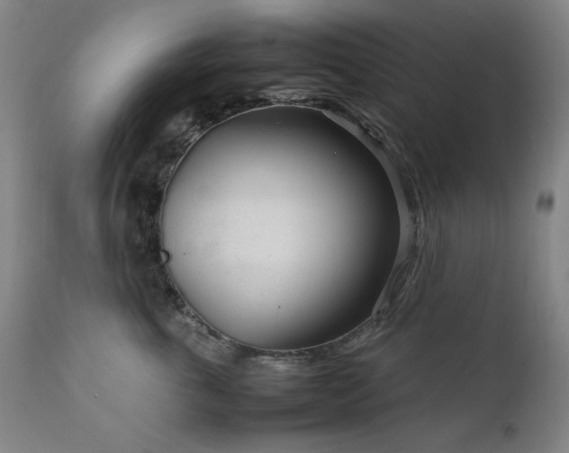 X0000111920763200907271249