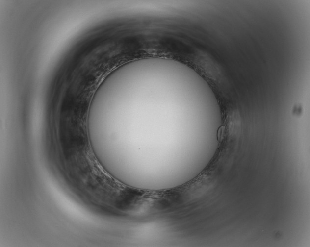 X0000111920764200907271249