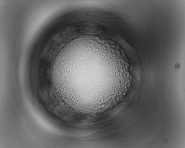 X0000111920765200907271249