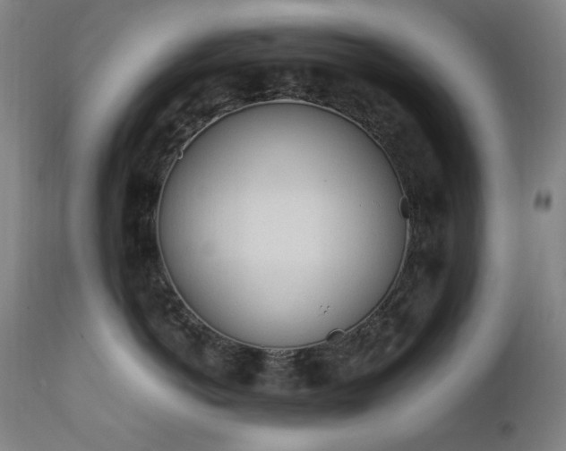 X0000111920766200907271249