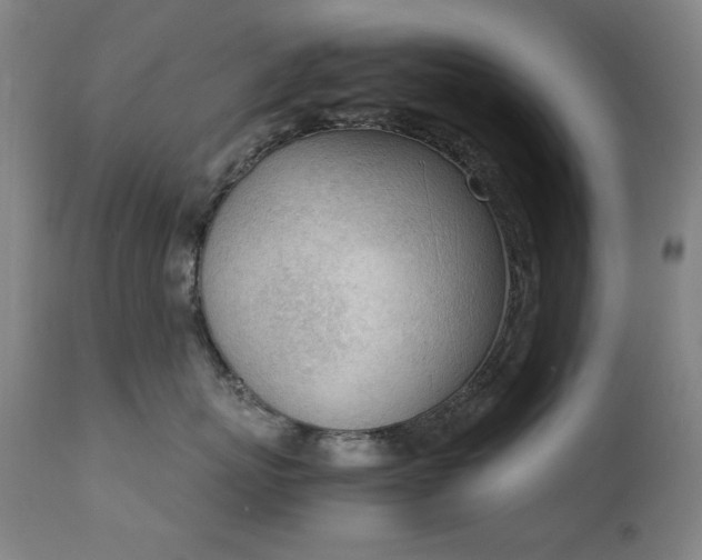 X0000111920767200907271249