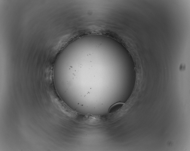 X0000111920768200907271249