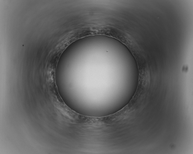 X0000111920770200907271248