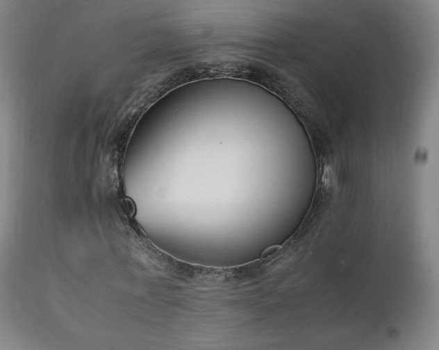X0000111920771200907271248