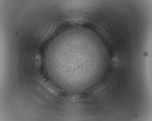 X0000111920772200907271248