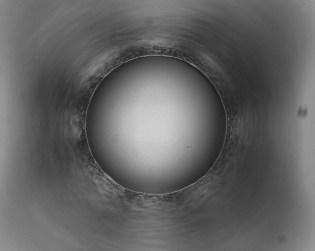 X0000111920774200907271248