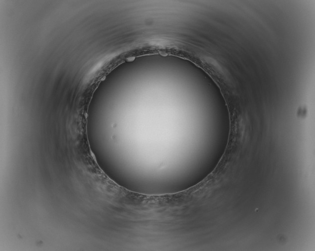 X0000111920776200907271248