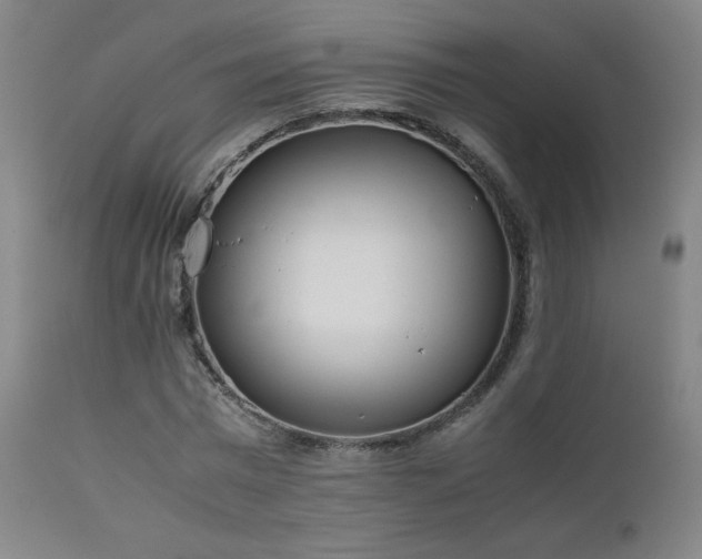 X0000111920777200907271248