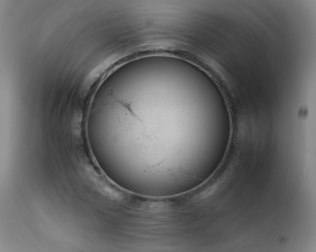 X0000111920778200907271248