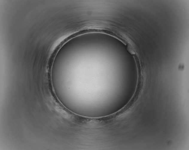 X0000111920779200907271248