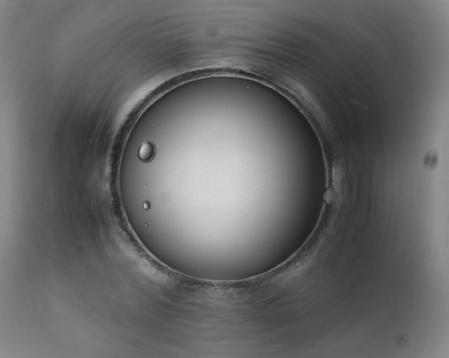 X0000111920780200907271248
