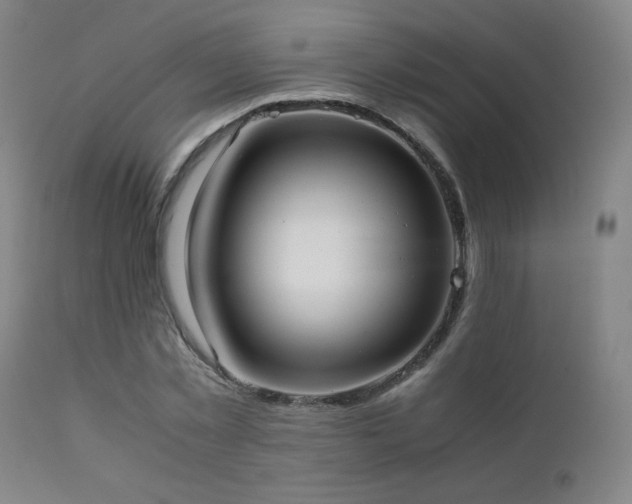 X0000111920781200907271248