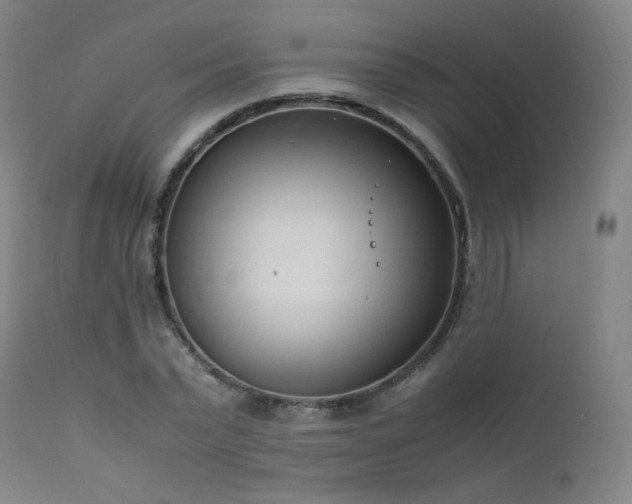 X0000111920783200907271248
