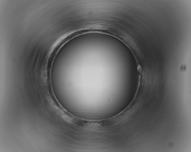 X0000111920784200907271248