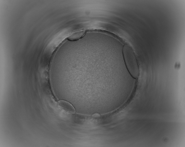 X0000111920785200907271248