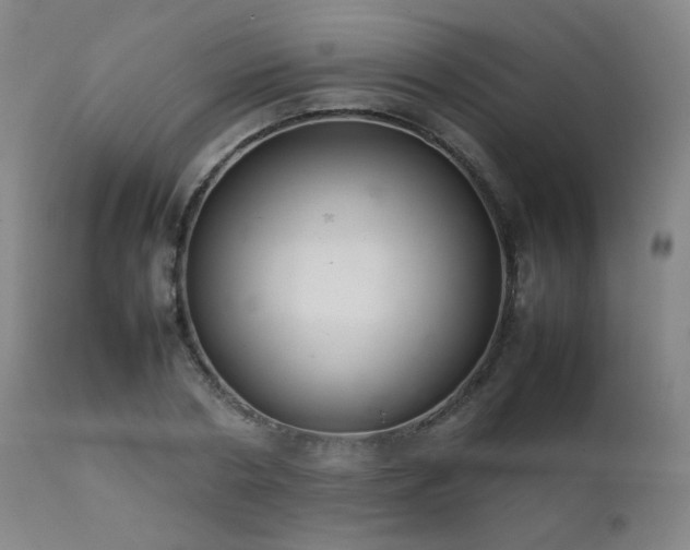 X0000111920786200907271248