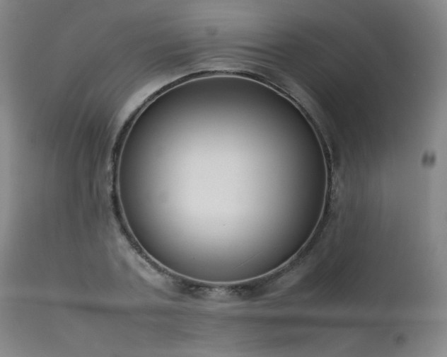 X0000111920787200907271248