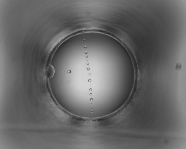 X0000111920789200907271248