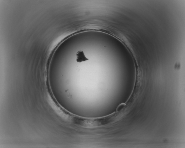 X0000111920795200907271247