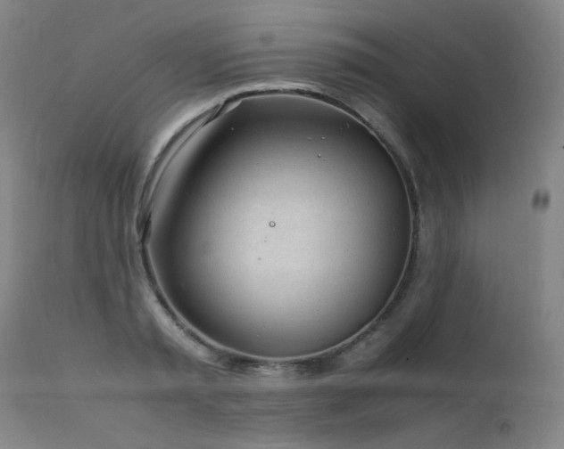 X0000111920797200907271247