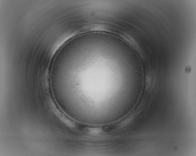 X0000111920798200907271247