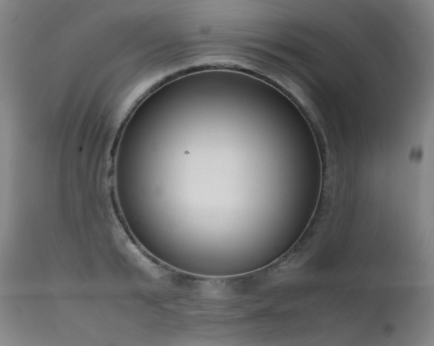 X0000111920799200907271247