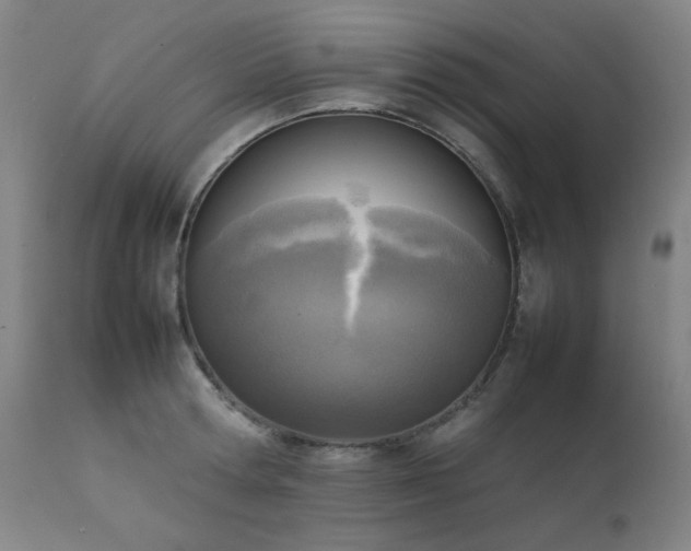 X0000111920802200907271247