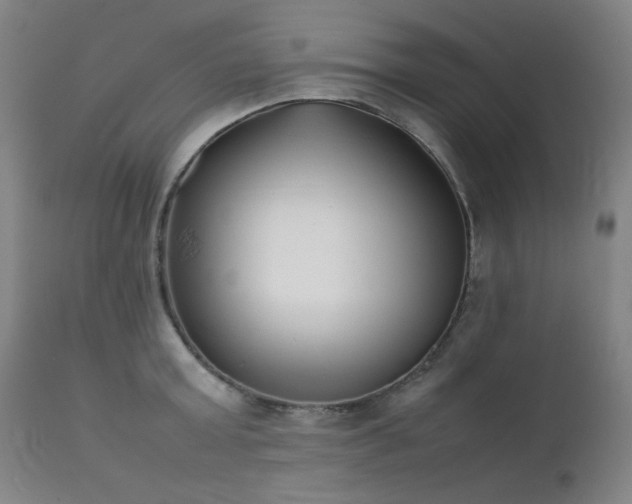 X0000111920803200907271247