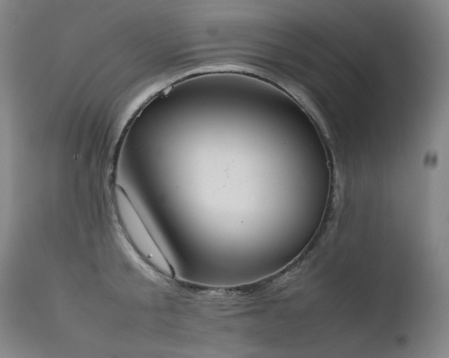 X0000111920805200907271247