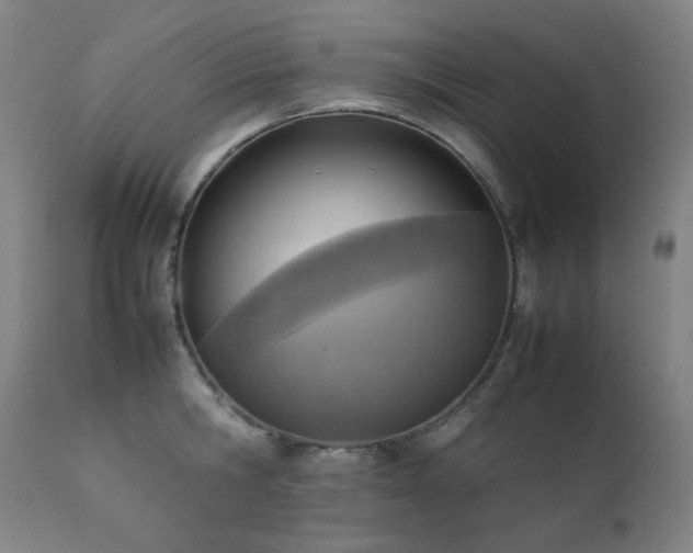 X0000111920806200907271247