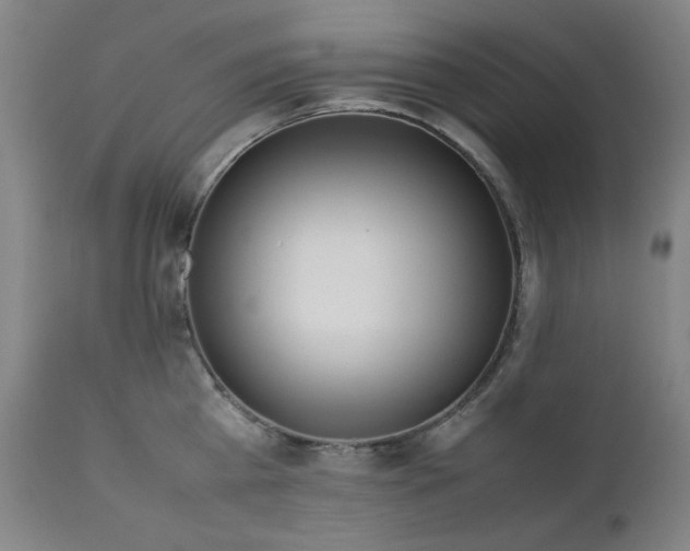 X0000111920809200907271247