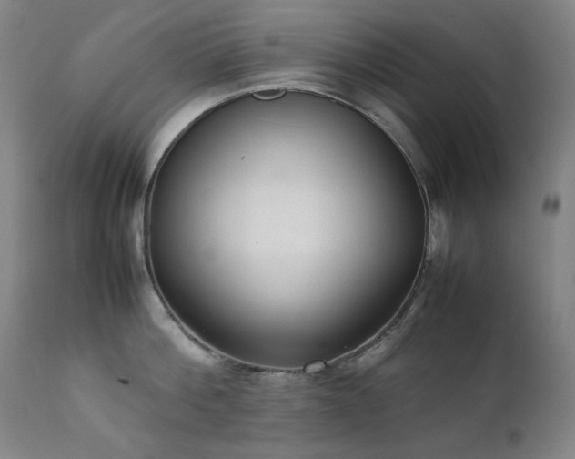 X0000111920812200907271247