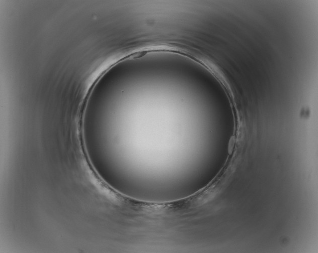 X0000111920813200907271247