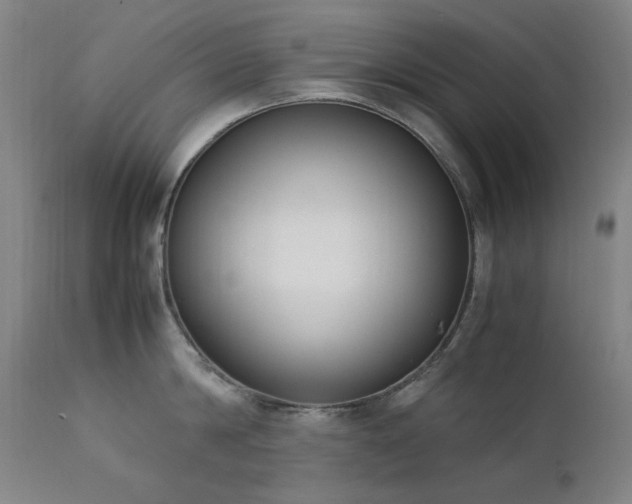 X0000111920814200907271247
