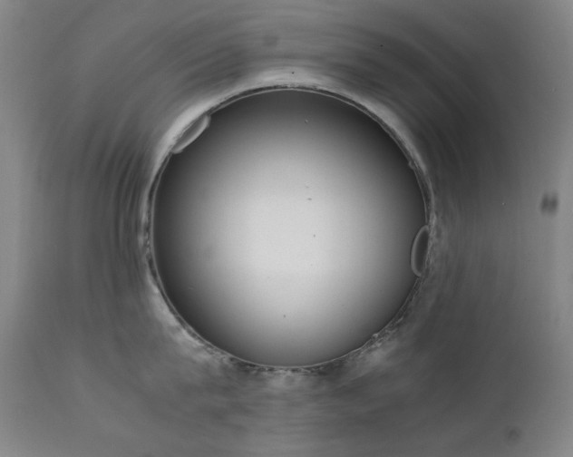 X0000111920815200907271247