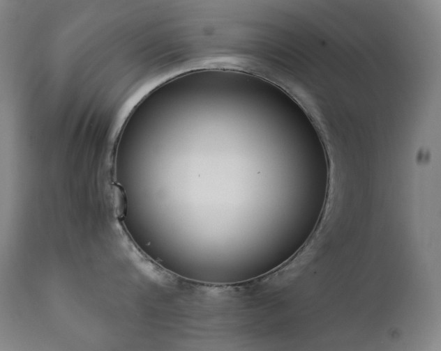 X0000111920816200907271247