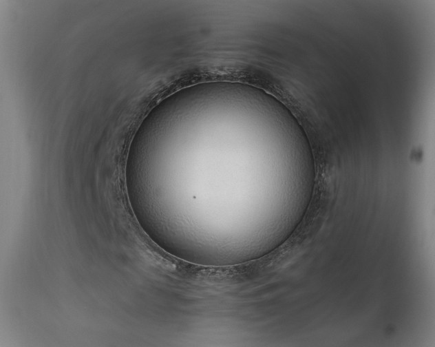 X0000111920817200907271246