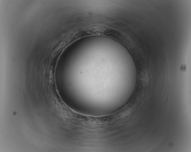 X0000111920818200907271246