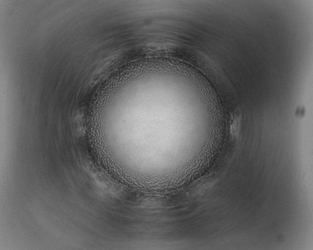 X0000111920819200907271246