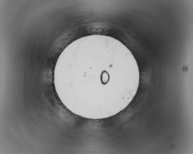 X0000111920820200907271246