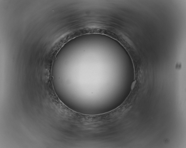 X0000111920821200907271246