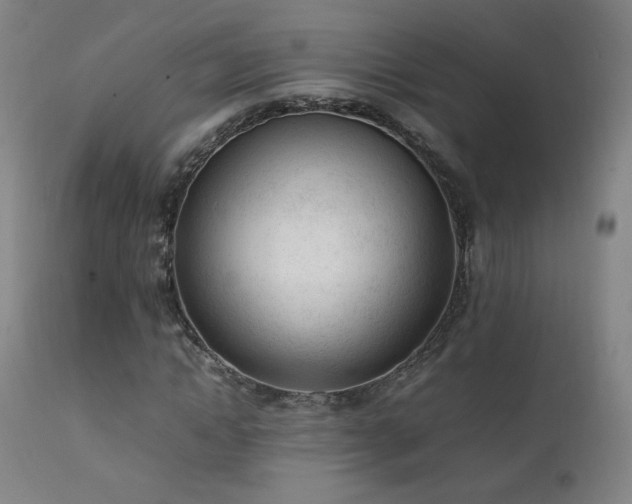 X0000111920822200907271246