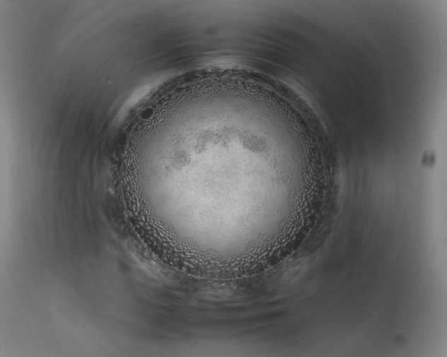 X0000111920823200907271246