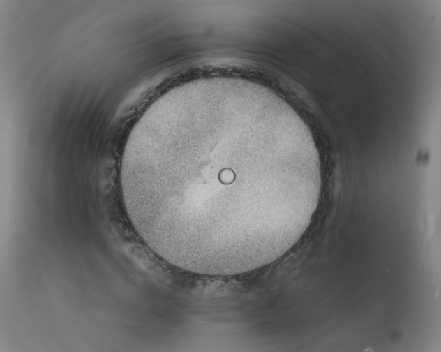 X0000111920824200907271246