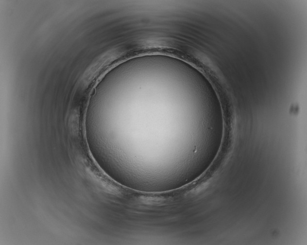 X0000111920825200907271246